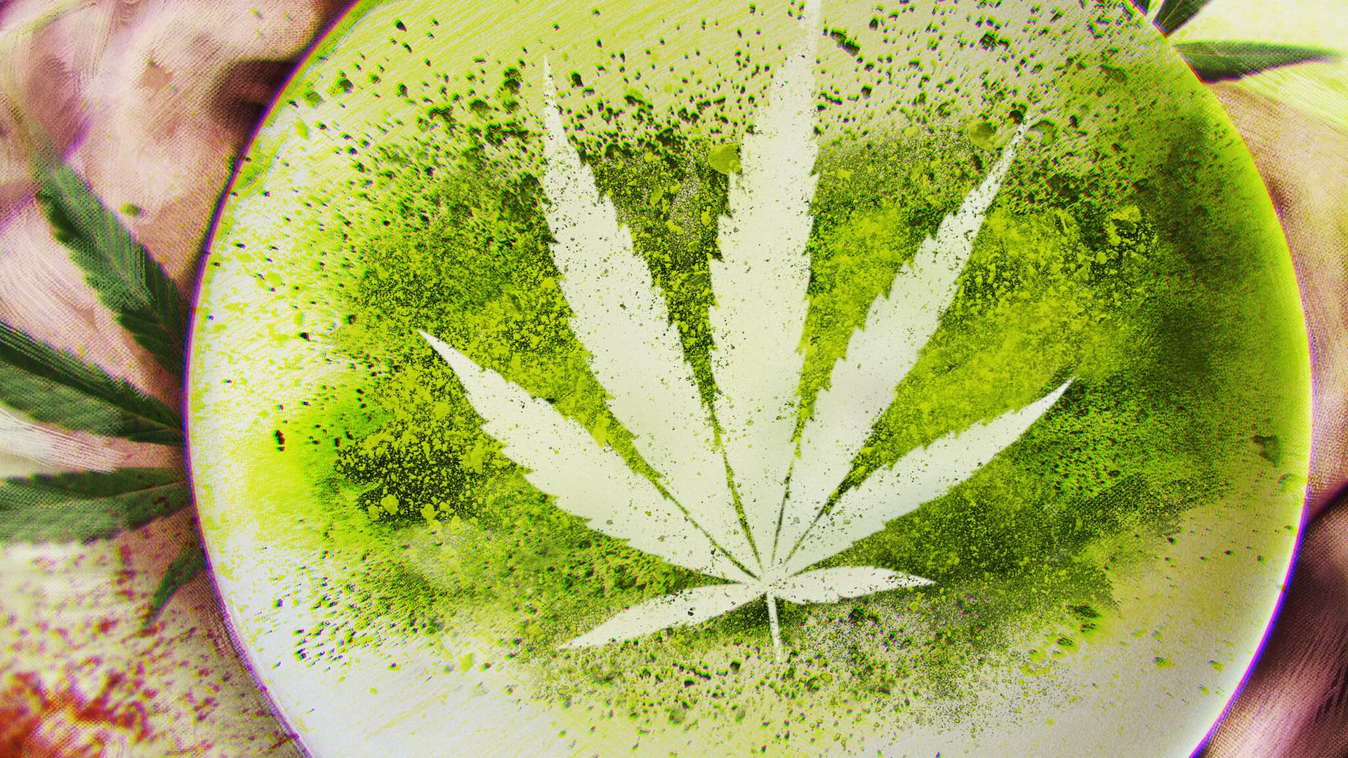 Bluetenbande – Cannabis Social Club seit 2024