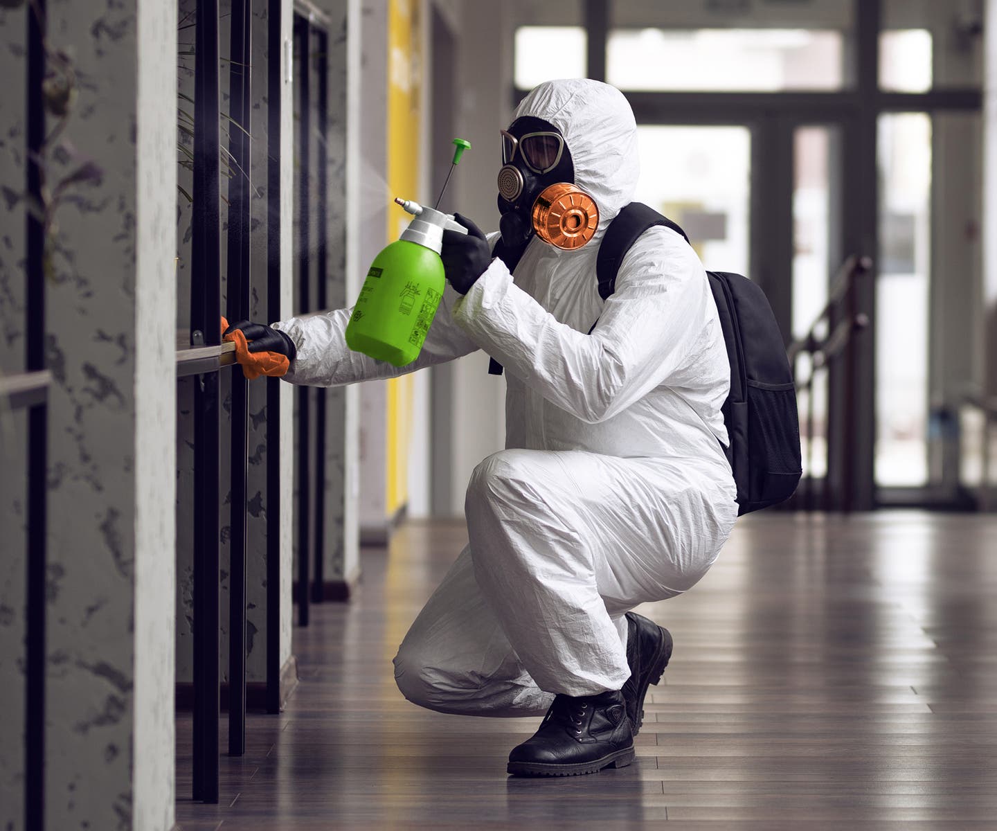 Austin Experts Delivering mold remediation cedar park tx