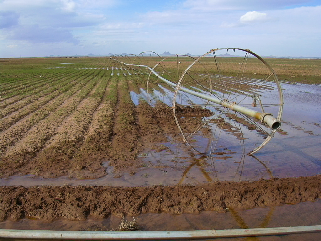 Expert Drainage Services in Fort Worth, TX for Effective Water Management