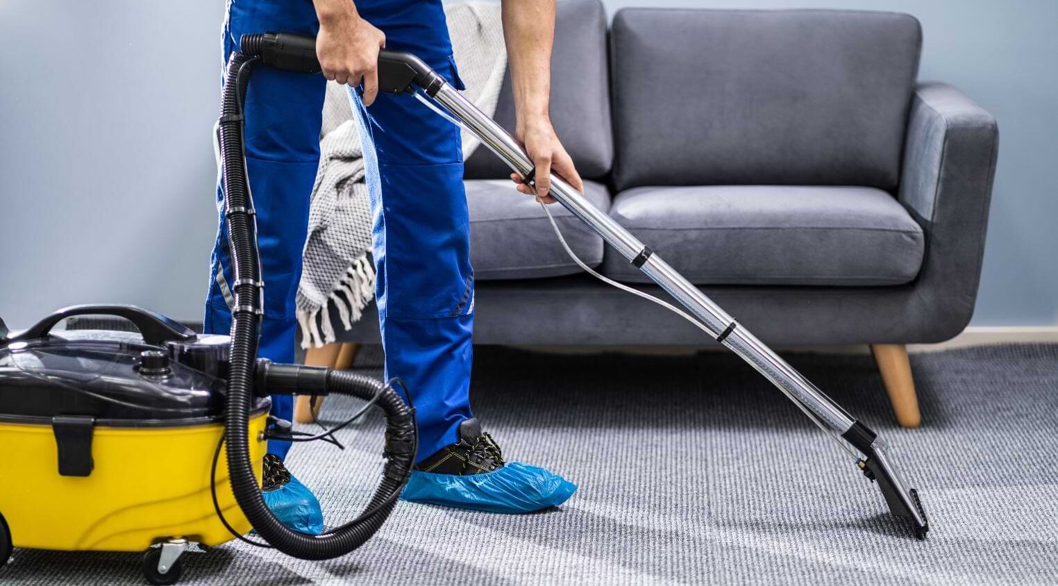 Deep Pet Odor Carpet Cleaning for Fresh, Clean Homes with Guardian Carpet Cleaning