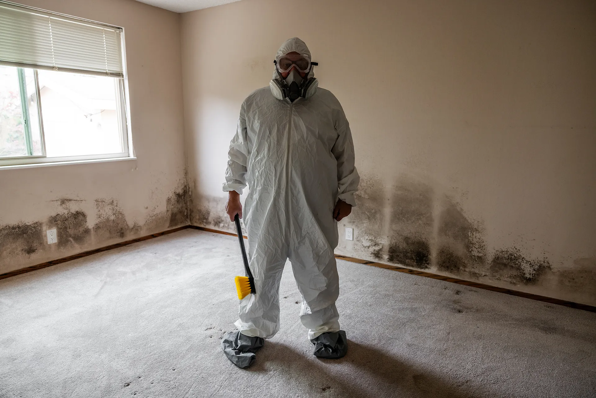 Austin Experts Delivering mold remediation cedar park tx