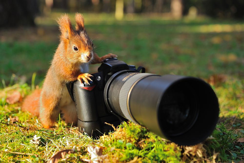 Top Benefits of Choosing a Photography Company Edmonton for Your Business Events