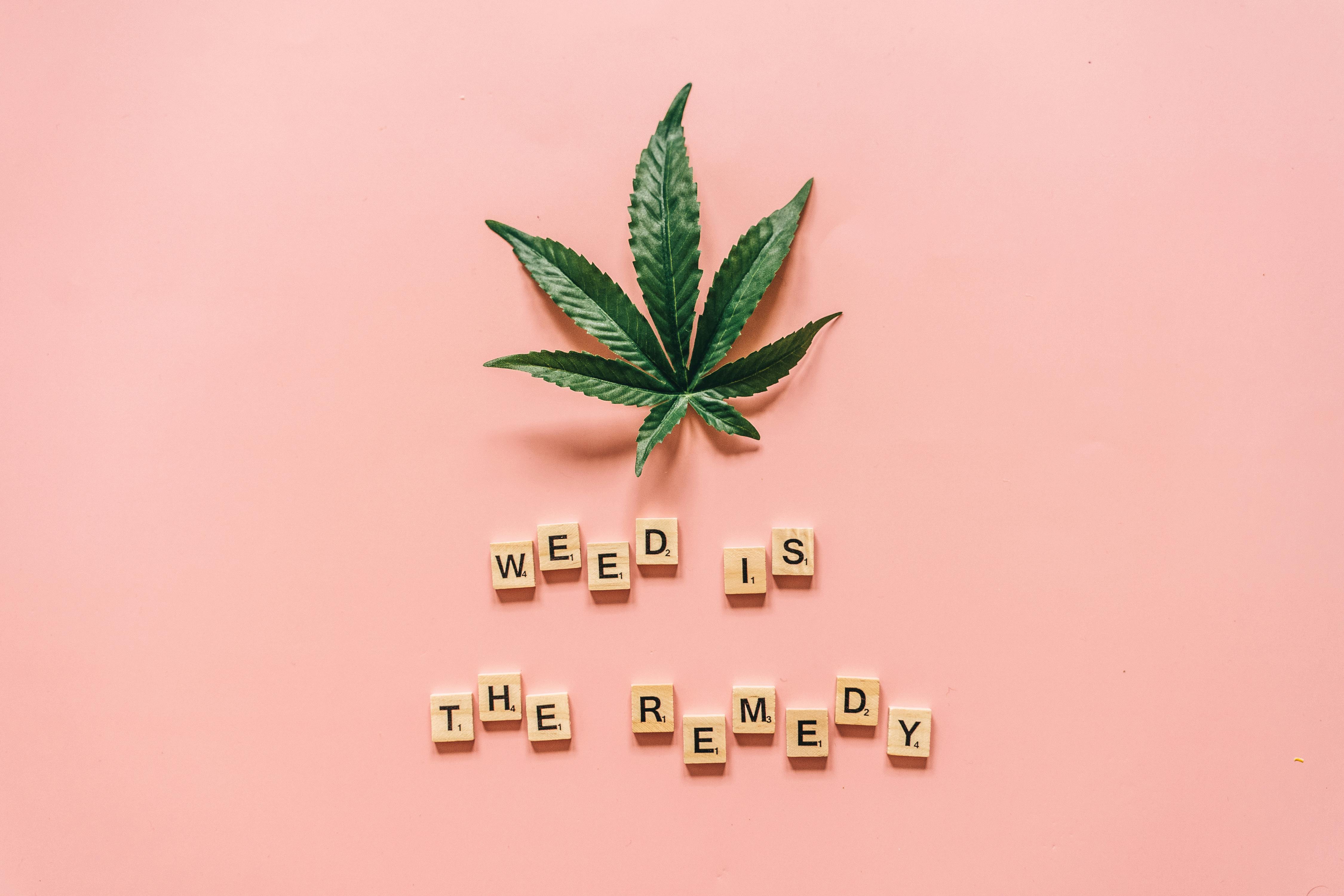 CANNABIS EDUCATION: A BEGINNER’S GUIDE TO TERMS, TYPES, AND USES